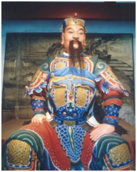 三国时期蜀汉名将傅佥简介：颇有胆勇，姜维甚爱之