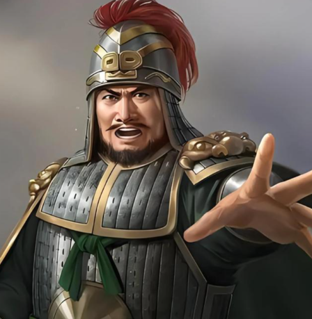 蜀汉柱石张翼：从地方太守到左车骑将军的沉浮人生